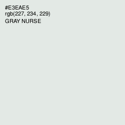 #E3EAE5 - Gray Nurse Color Image